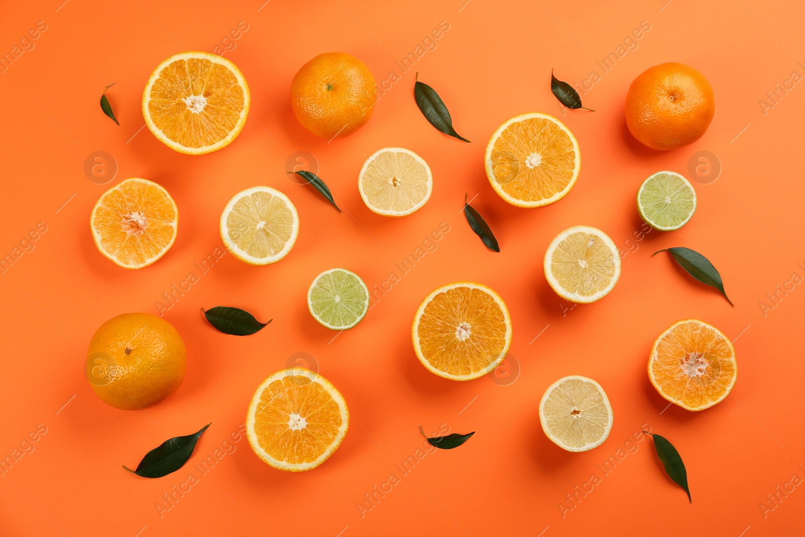 Photo of Flat lay composition with tangerines and different citrus fruits on orange background