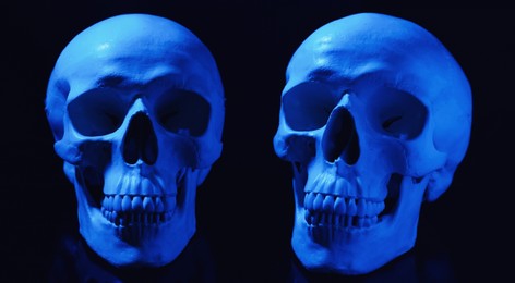 Image of Two blue human skulls on black background