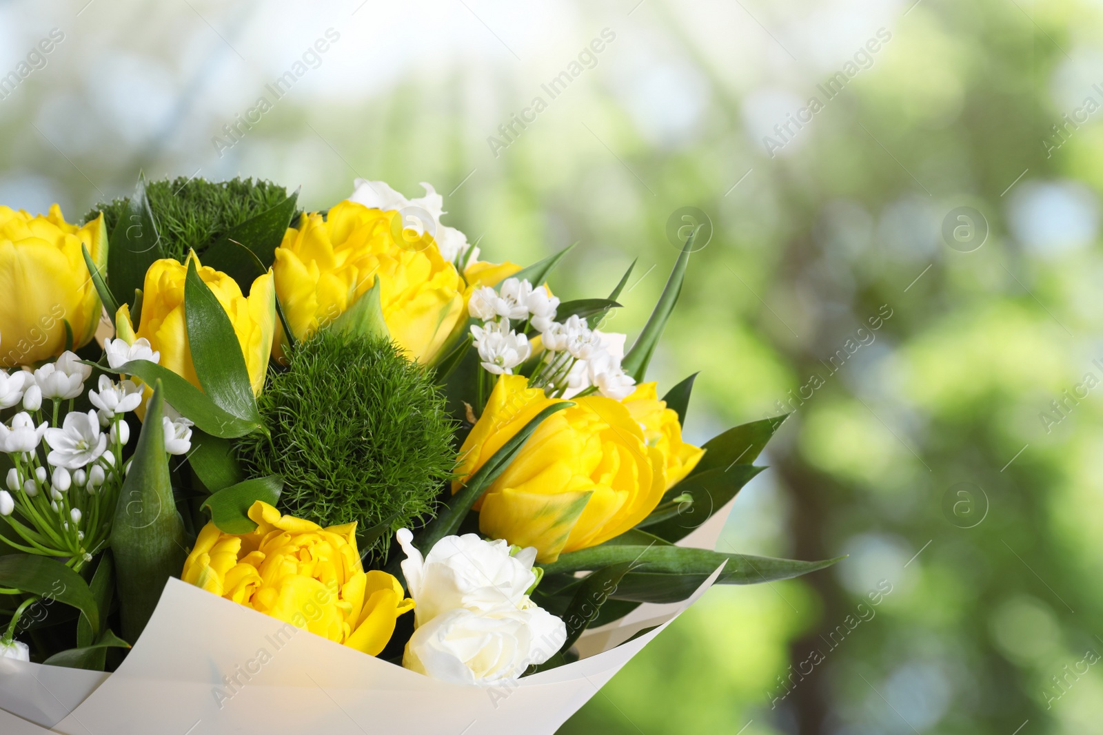 Image of Beautiful bouquet with peony tulips outdoors on sunny day, closeup. Bokeh effect