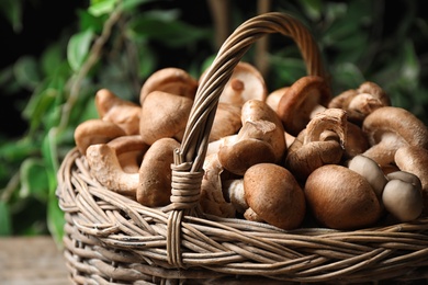 Fresh wild mushrooms in wicker basket on blurred green background, closeup