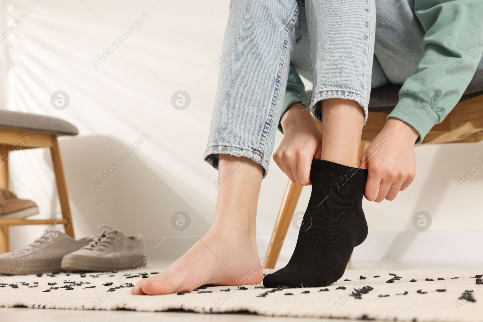 Photo of Woman putting on black socks at home, closeup