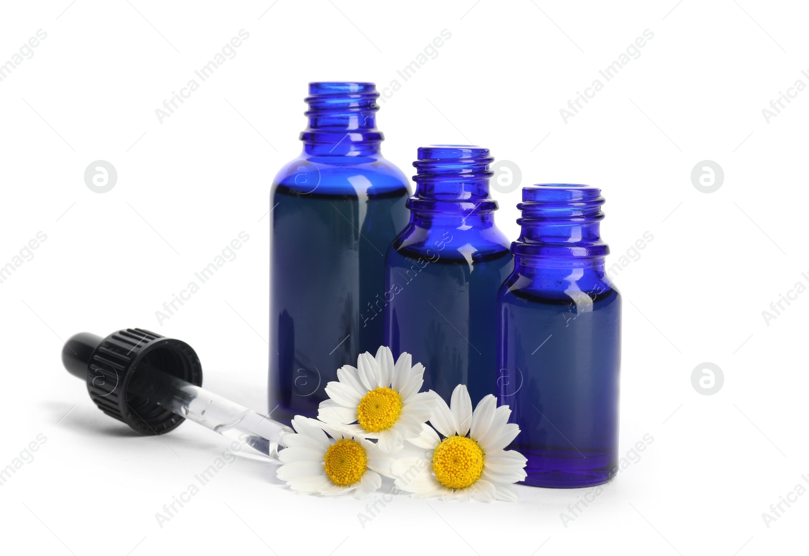 Photo of Chamomile flowers and cosmetic bottles of essential oil on white background