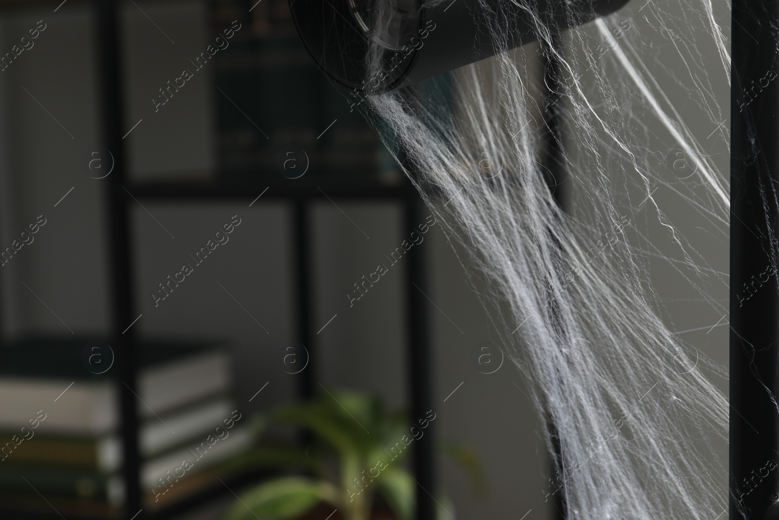 Photo of Cobweb on lamp near in room, closeup