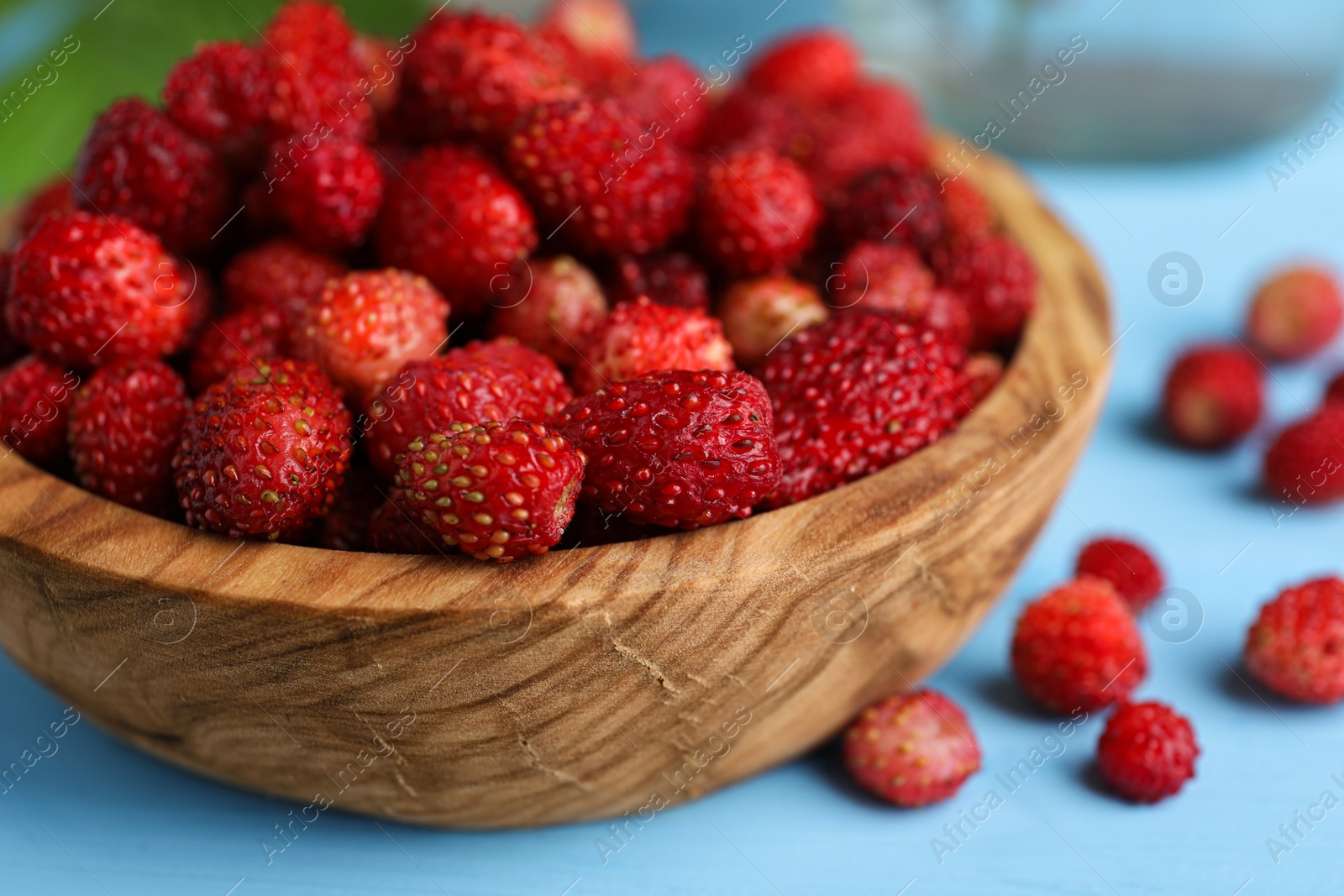 Photo of Fresh wild strawberries in bowl on light blue table, closeup