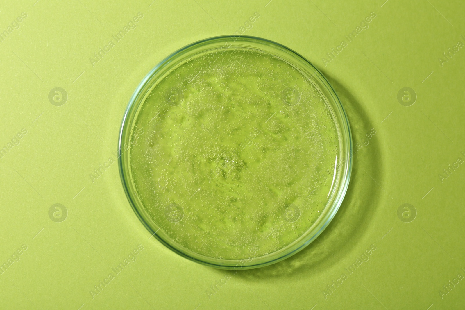 Photo of Petri dish with liquid sample on green background, top view