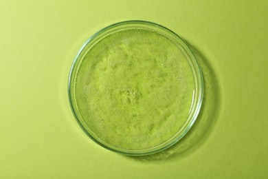 Petri dish with liquid sample on green background, top view