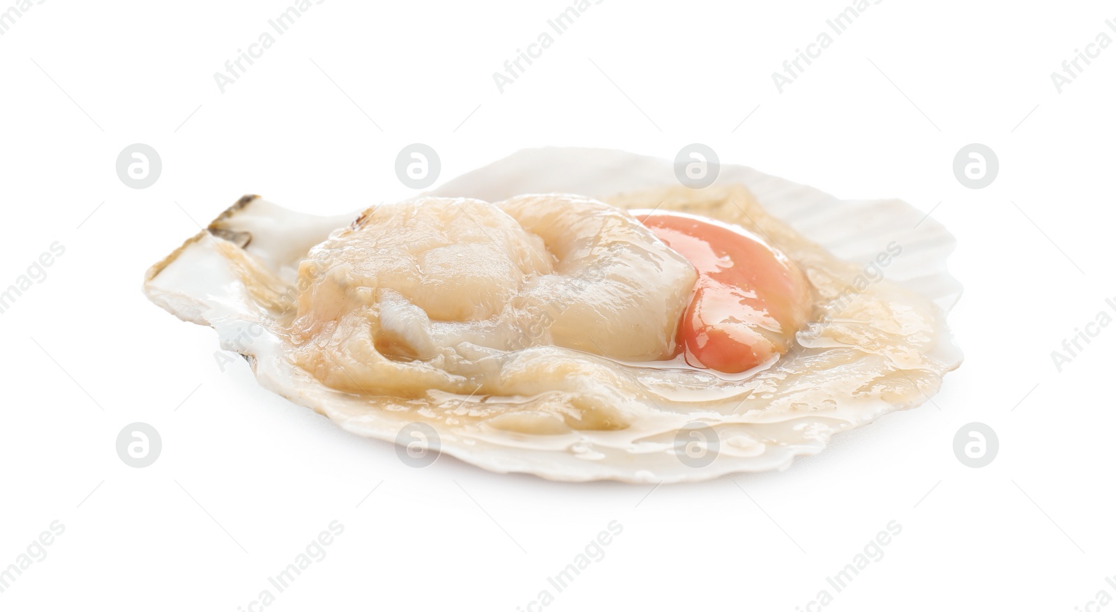 Photo of Fresh raw scallop in shell isolated on white