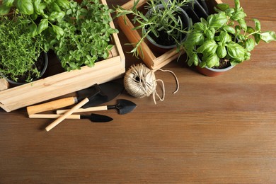 Crates with different potted herbs and gardening tools on wooden table, above view. Space for text