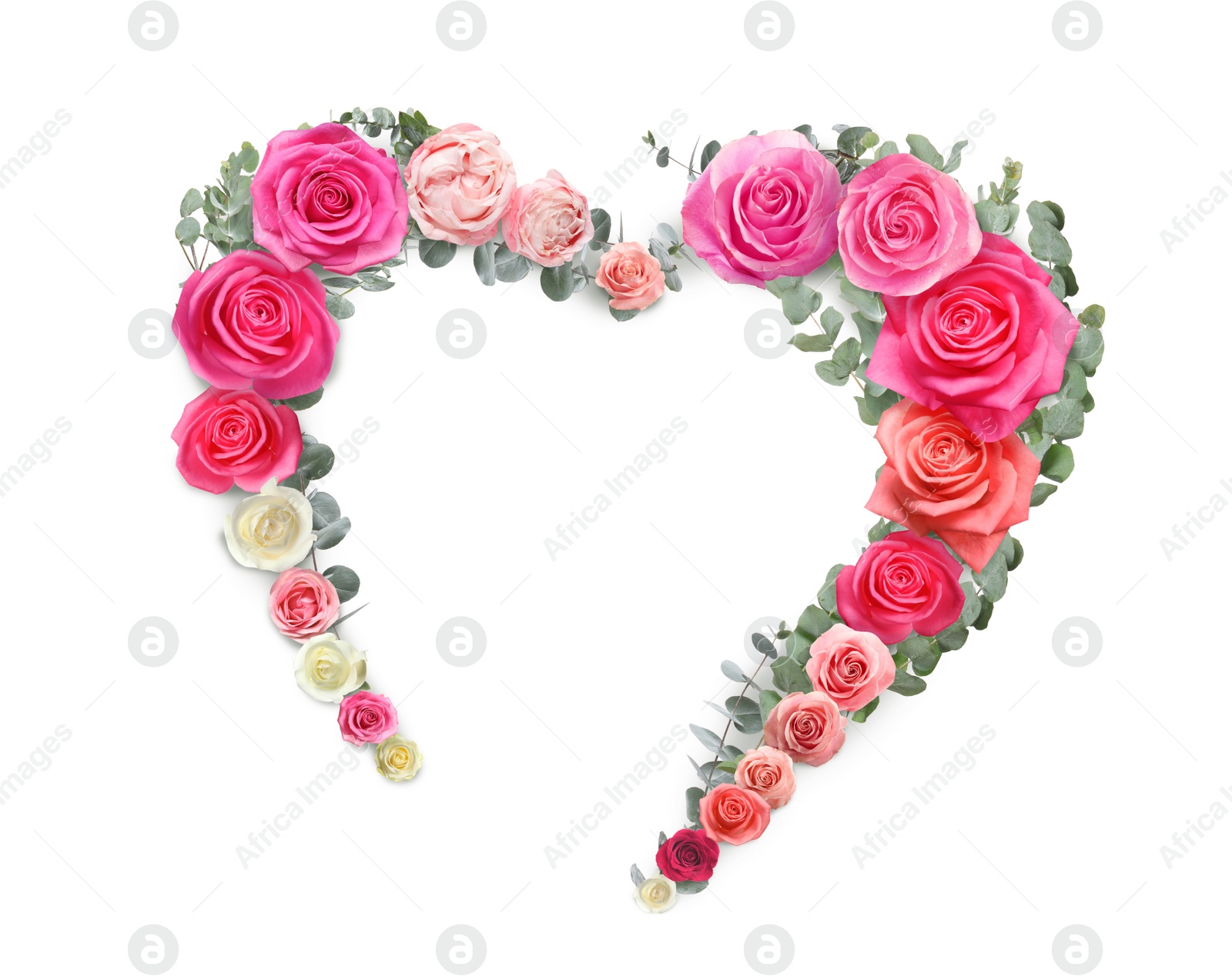 Image of Heart made of beautiful roses on white background