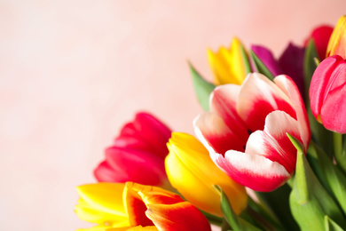 Beautiful spring tulips on light pink background, closeup. Space for text