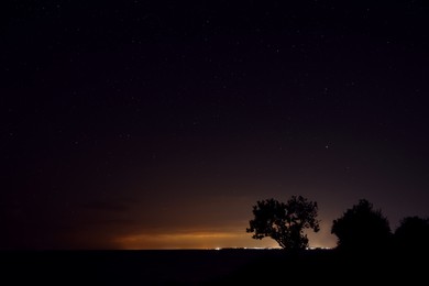 Photo of Picturesque view of starry sky at night on seaside