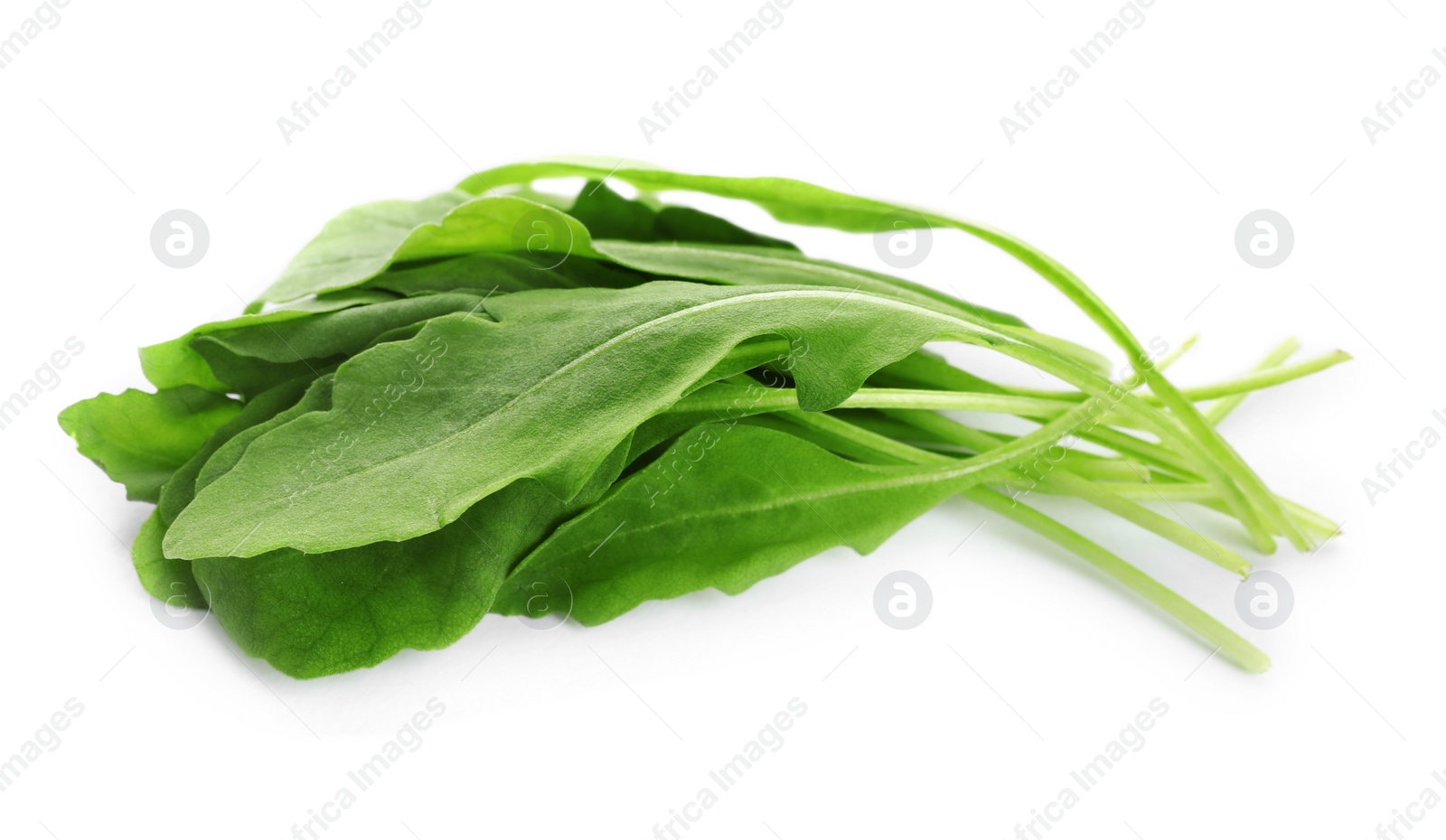 Photo of Fresh green arugula leaves on white background