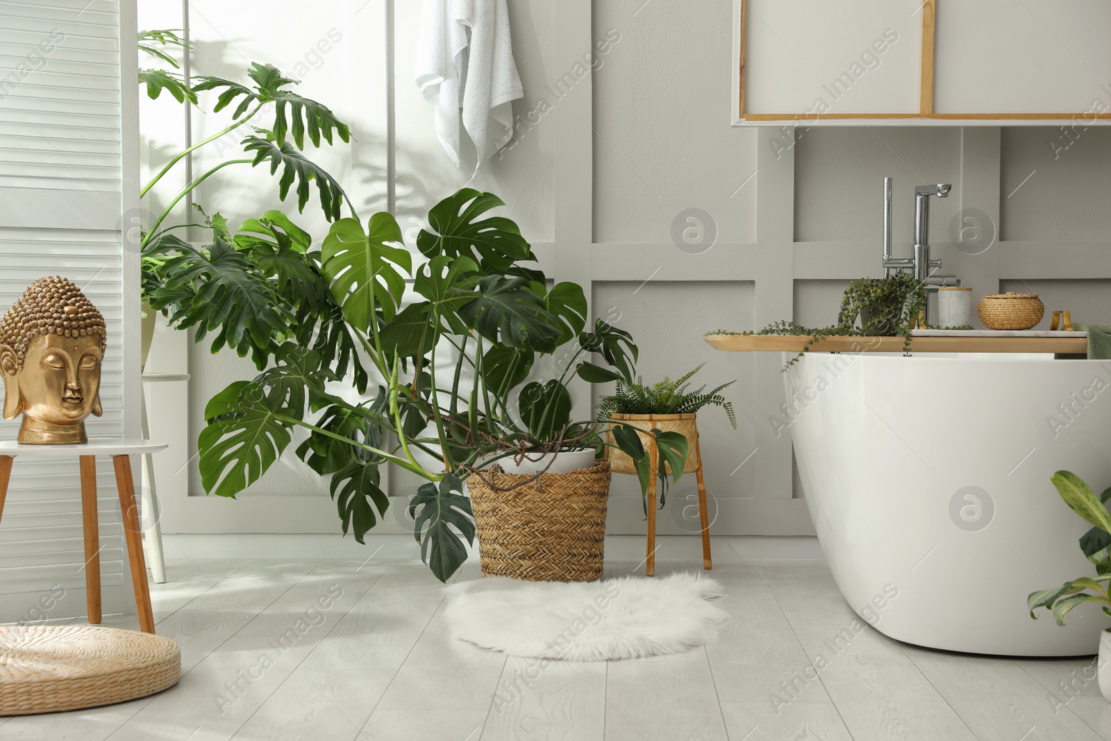 Photo of Stylish bathroom interior with green plants. Home design