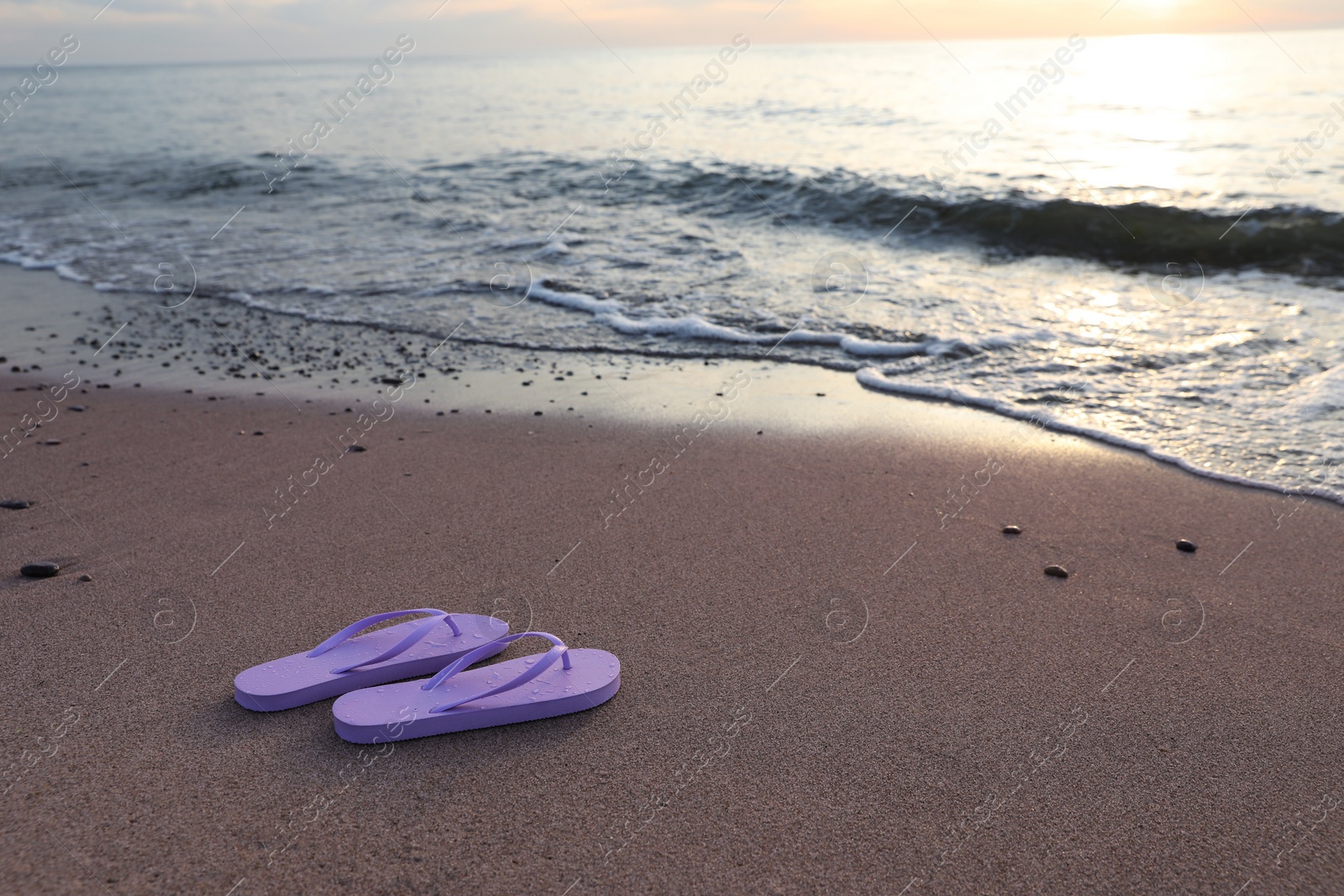 Photo of Stylish lilac flip flops on sand near sea. Space for text