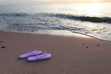 Stylish lilac flip flops on sand near sea. Space for text