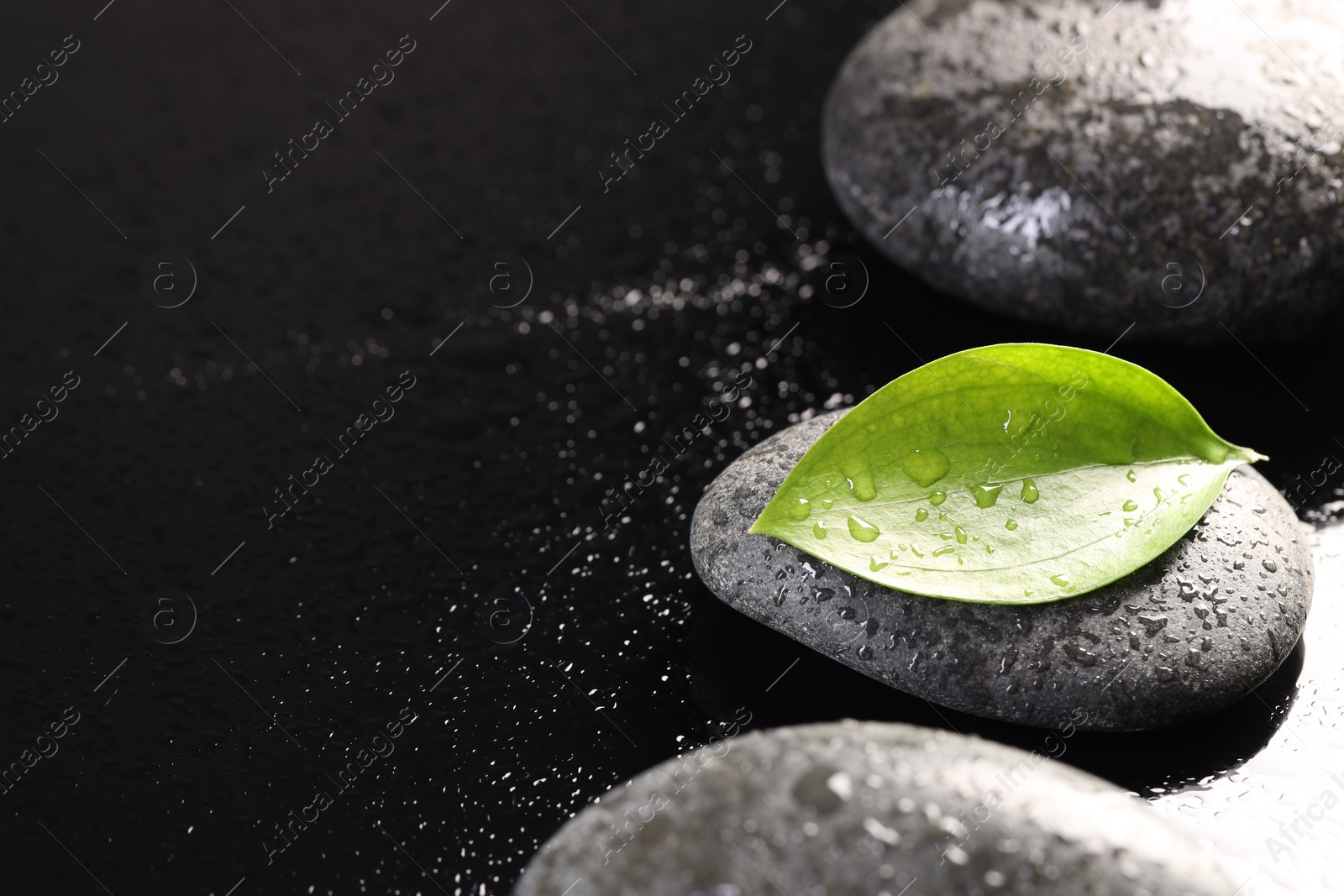 Photo of Wet spa stones and green leaf in water on black background, closeup. Space for text