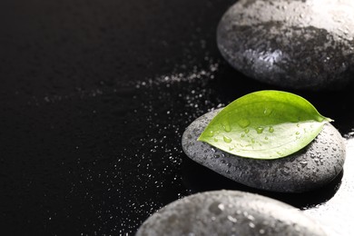 Wet spa stones and green leaf in water on black background, closeup. Space for text