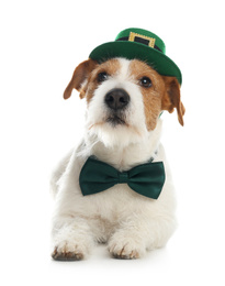Photo of Jack Russell terrier with leprechaun hat and bow tie on white background. St. Patrick's Day