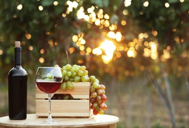 Photo of Bottle and glass of red wine with fresh grapes on wooden table in vineyard