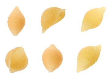 Raw conchiglie pasta isolated on white, set