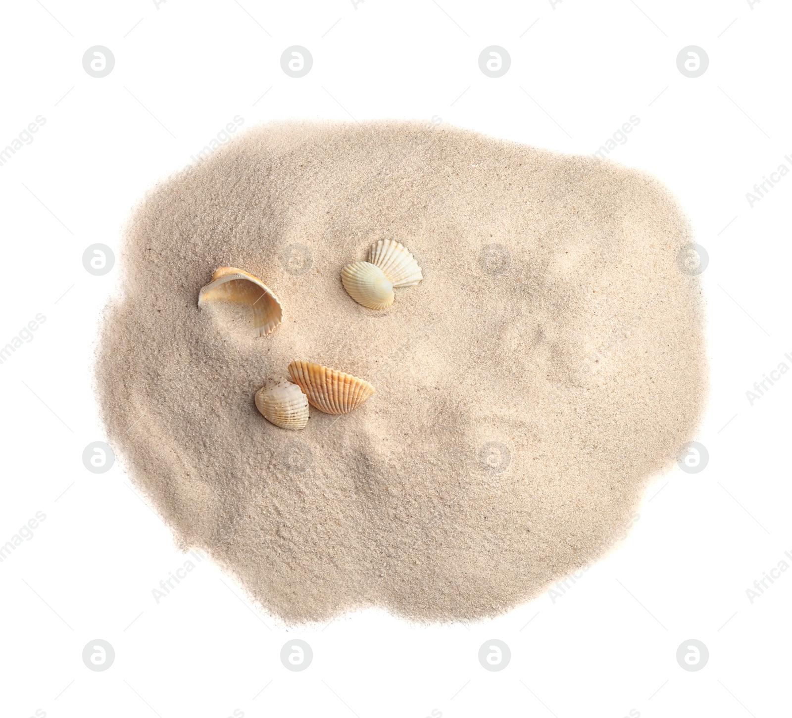 Photo of Pile of beach sand with sea shells isolated on white, top view