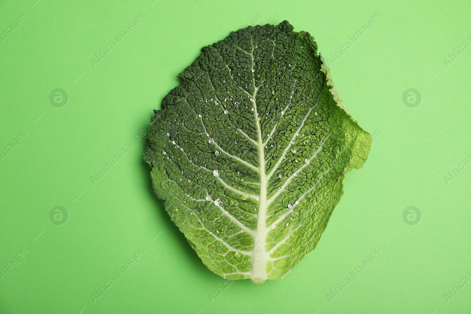 Photo of Green leaf of savoy cabbage on color background, top view