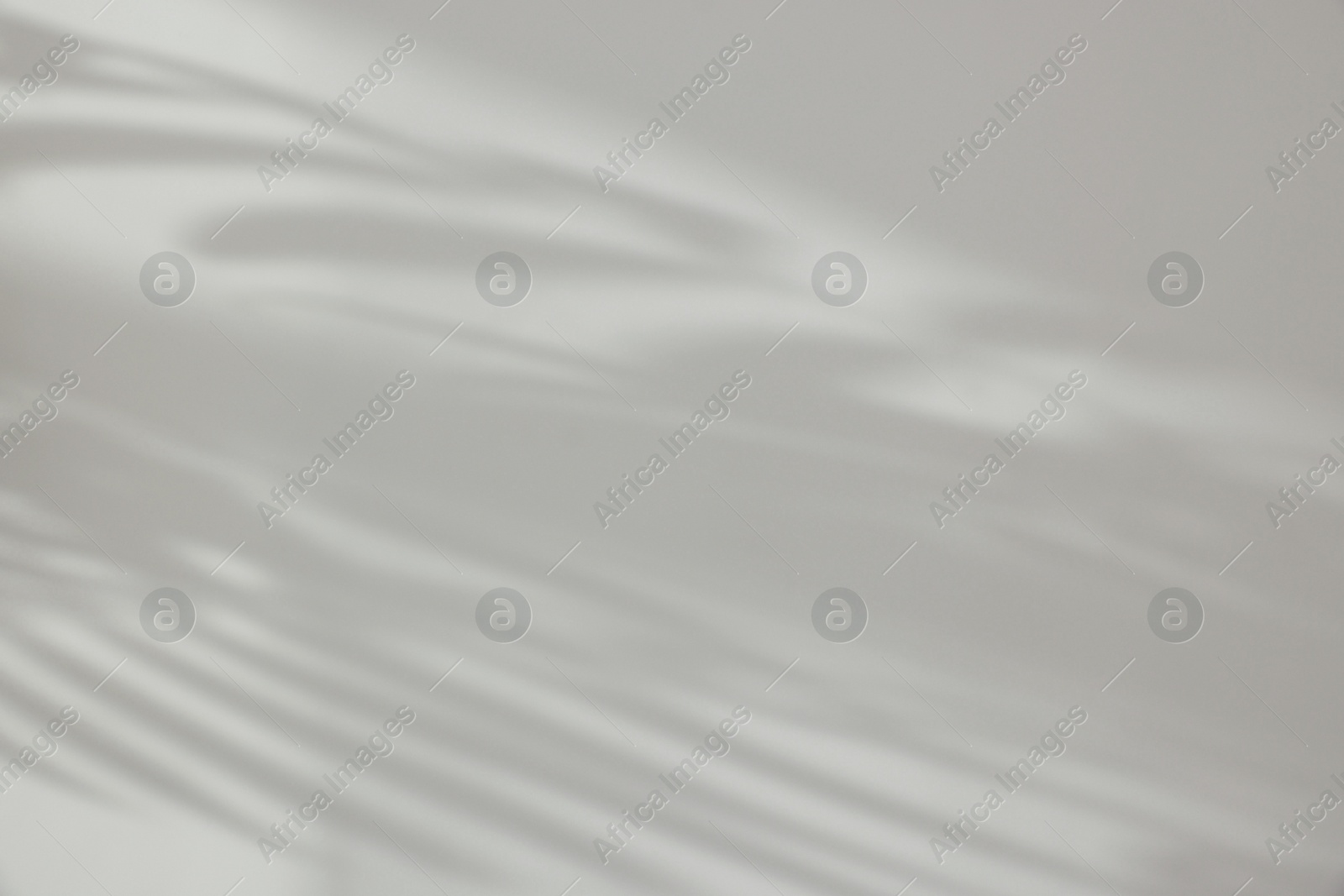 Photo of Shadows from plant on white wall indoors