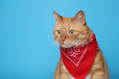 Cute ginger cat with bandana on light blue background, space for text. Adorable pet