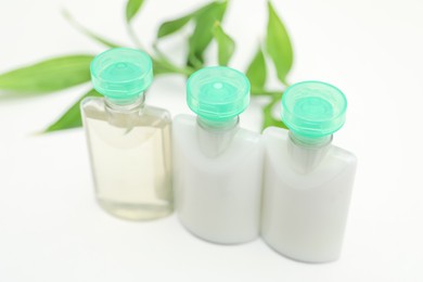 Mini bottles of cosmetic products and green branch on white background, closeup