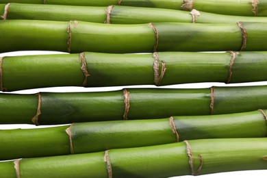 Photo of Beautiful green bamboo stems as background, closeup