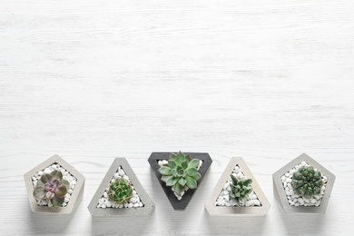 Beautiful succulent plants in stylish flowerpots on white wooden background, flat lay with space for text. Home decor