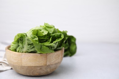 Fresh green romaine lettuce on grey table, space for text