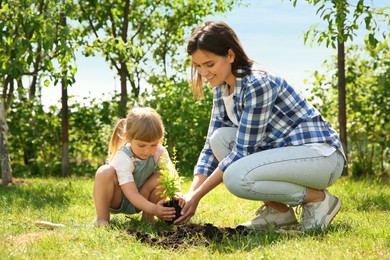 Photo of Mother and her daughter planting tree together in garden