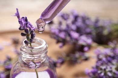 Photo of Natural oil dripping into bottle and lavender flowers on table, closeup. Space for text