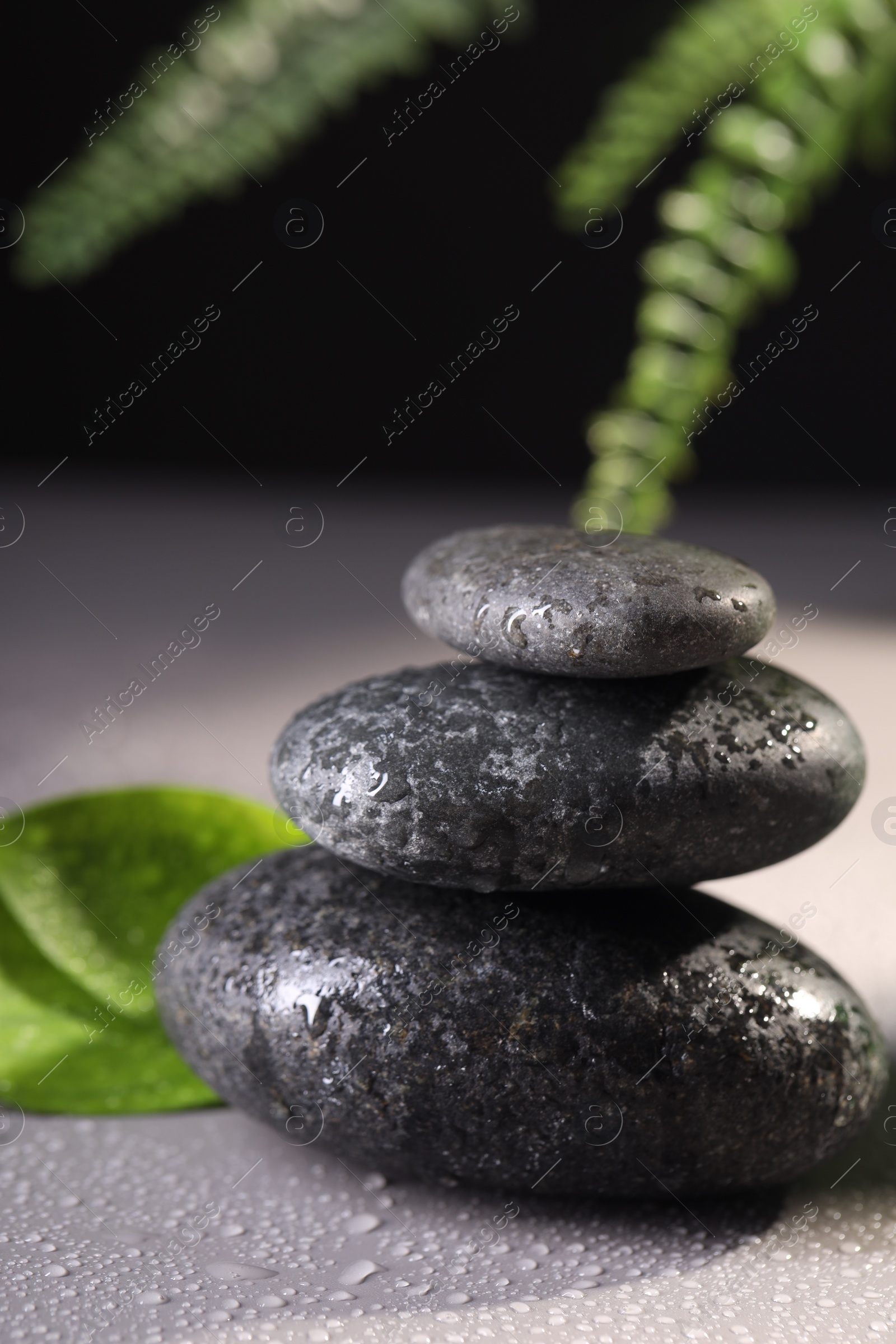 Photo of Wet spa stones and green leaves on grey background