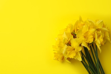 Beautiful daffodil bouquet on yellow background, top view. Space for text