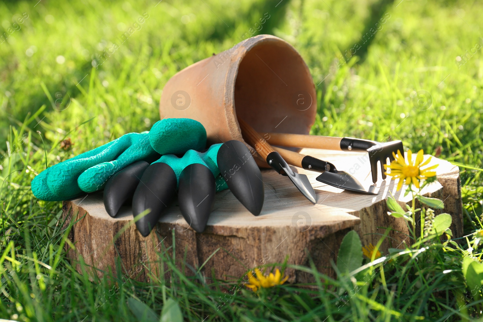 Photo of Pair of gloves and pot with gardening tools on wooden stump among grass outdoors