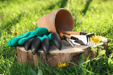 Pair of gloves and pot with gardening tools on wooden stump among grass outdoors