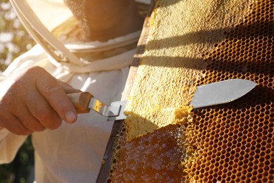 Photo of Senior beekeeper uncapping honeycomb frame with knife outdoors, closeup