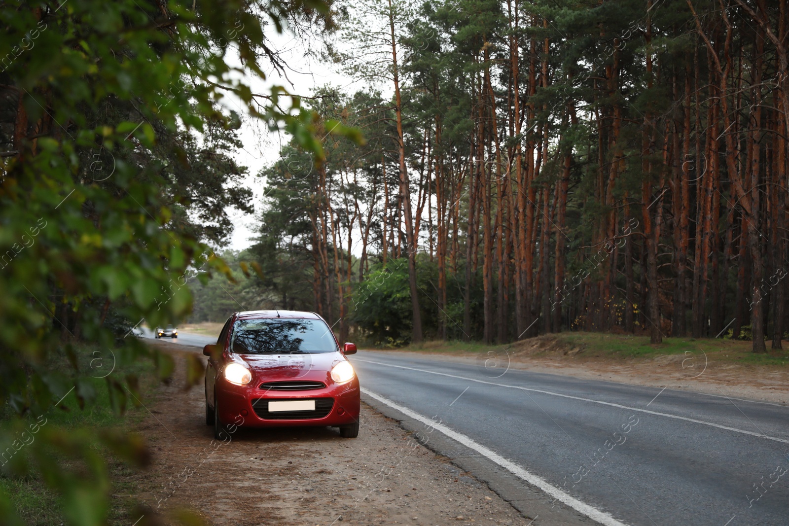 Photo of Red car parked near forest. Road trip