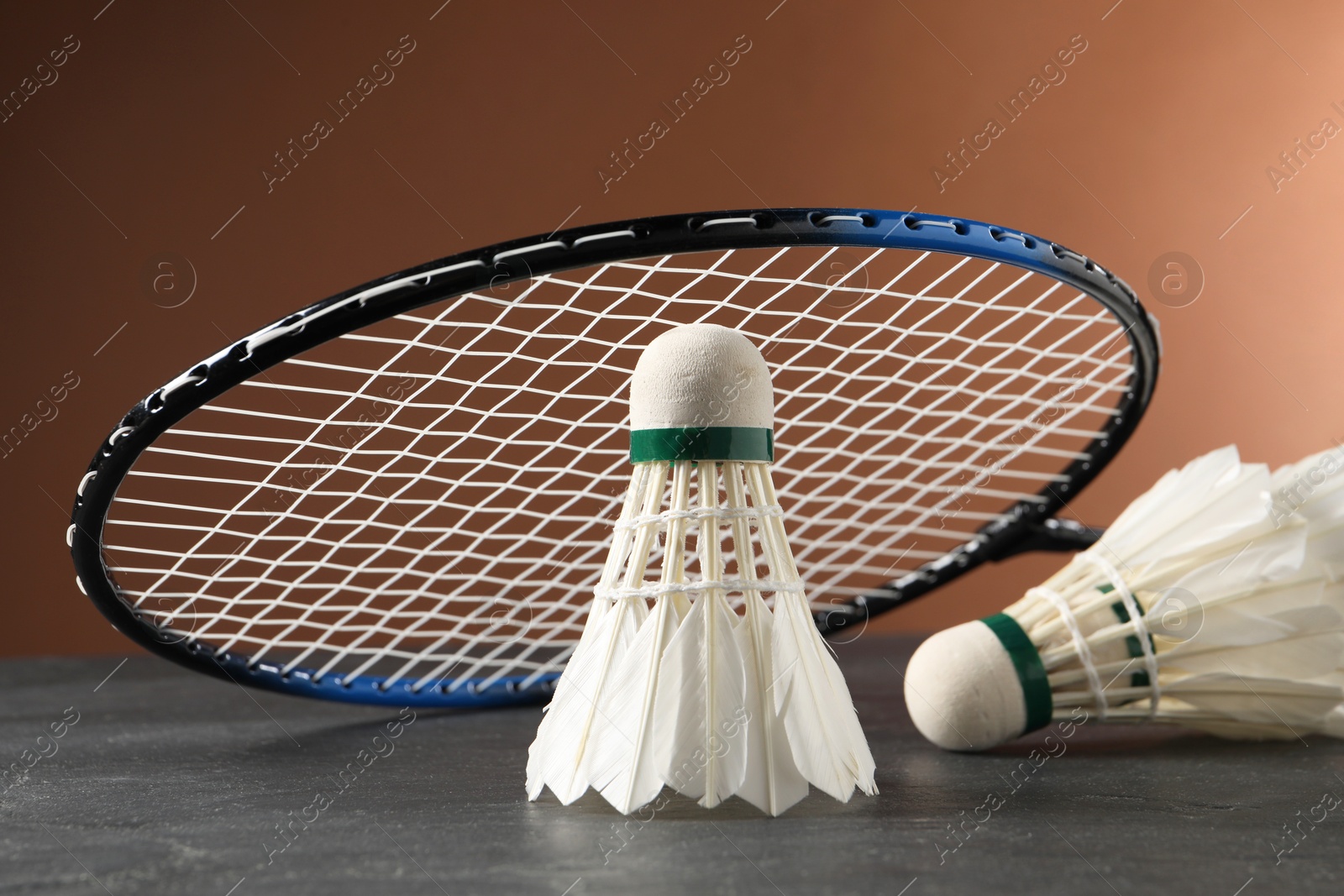 Photo of Feather badminton shuttlecocks and racket on grey table against brown background, closeup