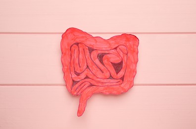 Photo of Paper cutout of small intestine on pink wooden background, top view