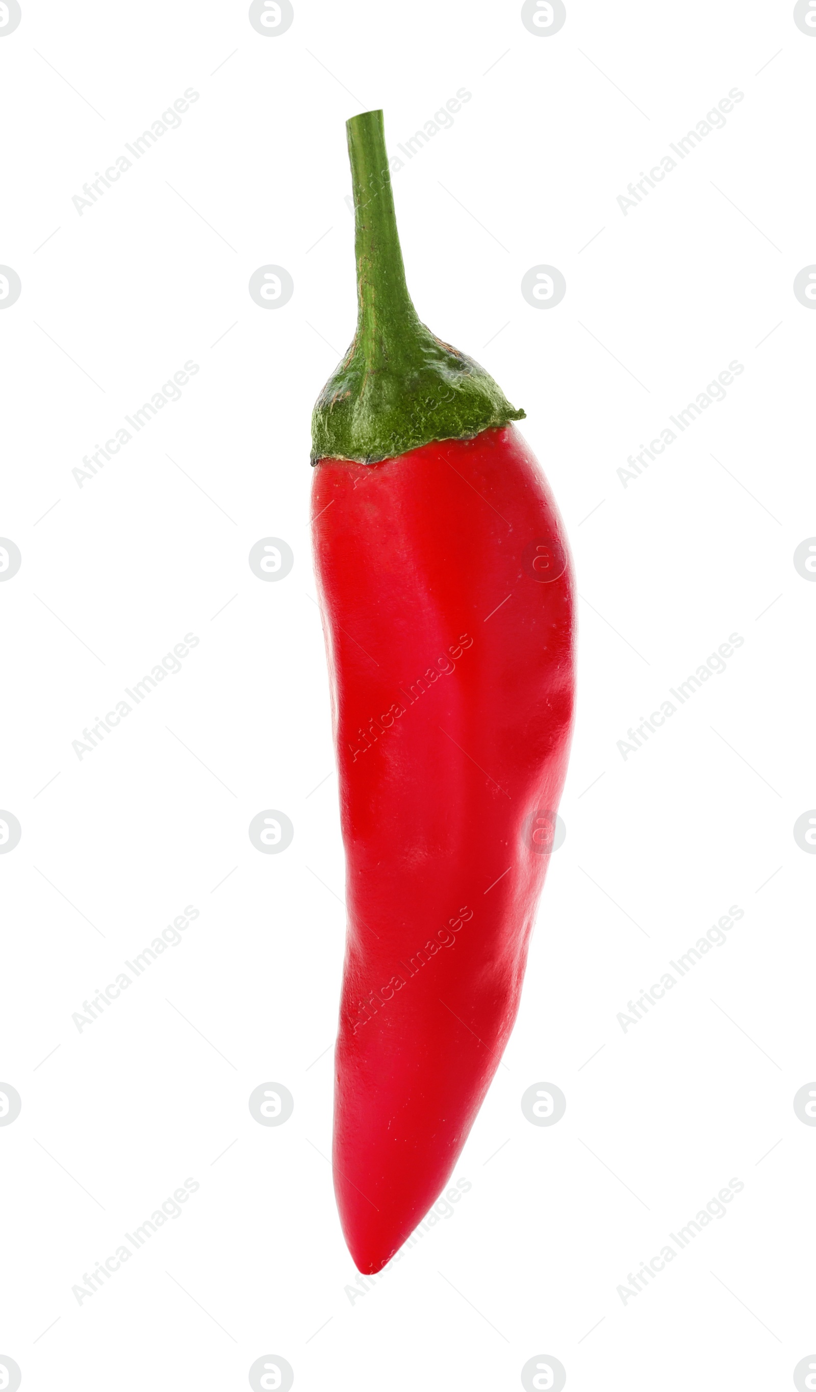 Photo of Red hot chili pepper on white background