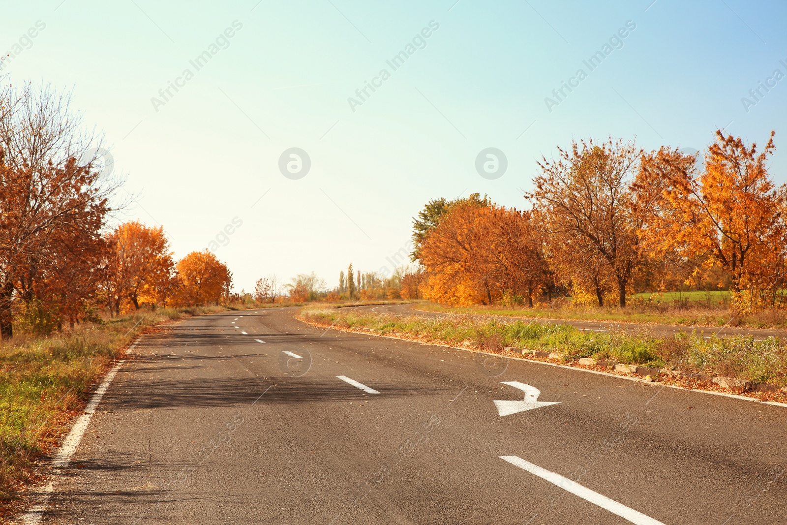 Photo of Beautiful autumn landscape with trees and dry leaves on road