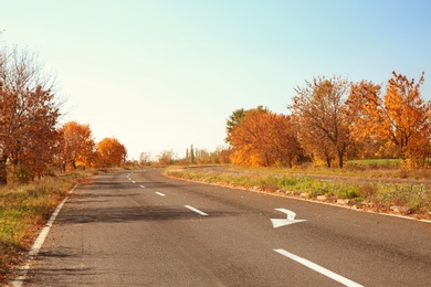 Beautiful autumn landscape with trees and dry leaves on road