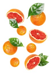 Tasty ripe grapefruits and green leaves falling on white background