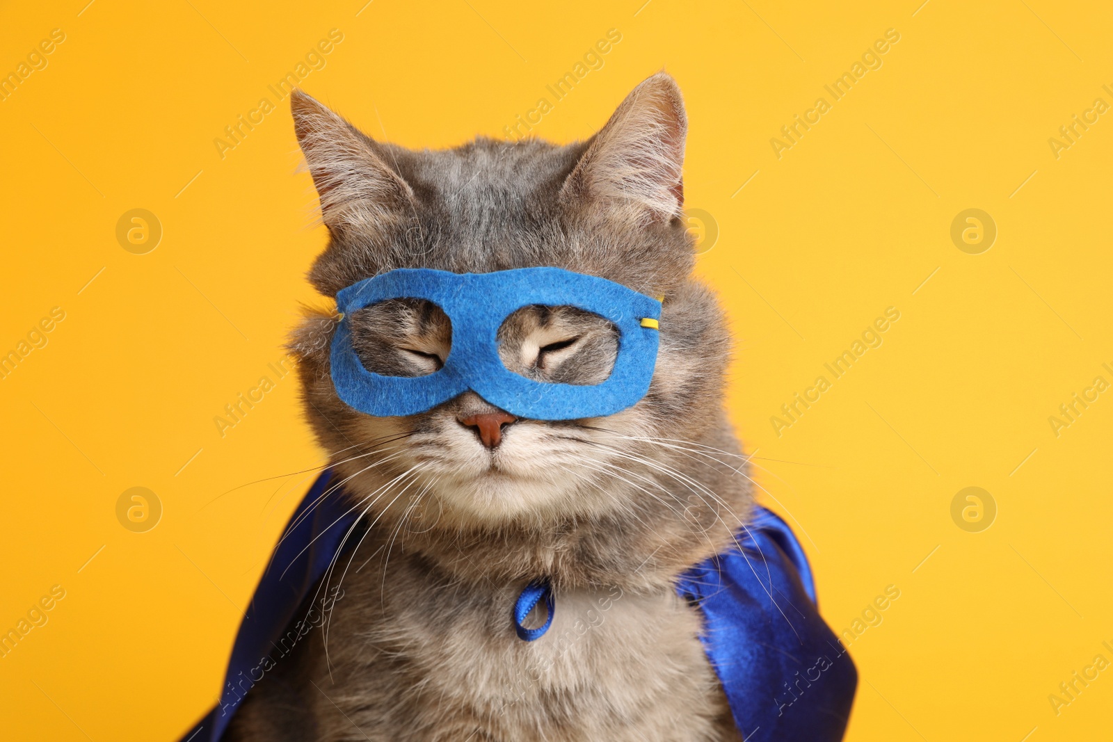 Photo of Adorable cat in blue superhero cape and mask on yellow background