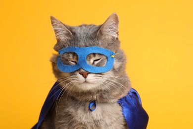 Photo of Adorable cat in blue superhero cape and mask on yellow background