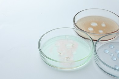 Photo of Petri dishes with color liquids on white background, closeup