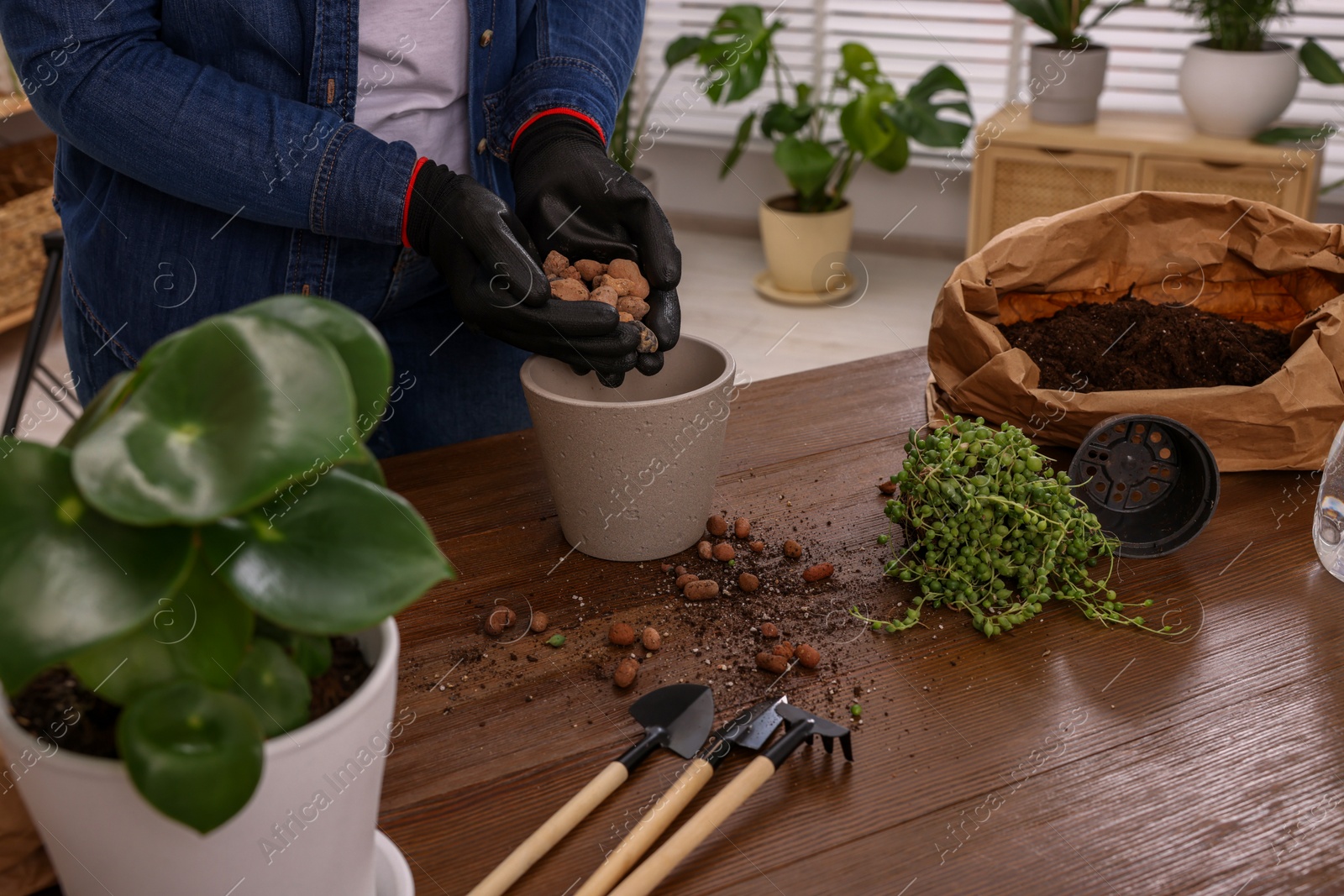 Photo of Woman in gloves filling flowerpot with drainage at wooden table indoors, closeup. Transplanting houseplants